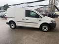 Volkswagen Caddy Caddy Kastenwagen 2,0 TDI 4MOTION Weiß - thumbnail 3