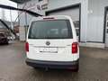 Volkswagen Caddy Caddy Kastenwagen 2,0 TDI 4MOTION Weiß - thumbnail 4