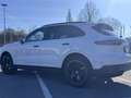 Porsche Cayenne Hd,AHK,Sport,Approved Weiß - thumbnail 10