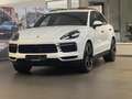 Porsche Cayenne Hd,AHK,Sport,Approved Weiß - thumbnail 3
