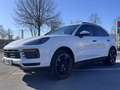 Porsche Cayenne Hd,AHK,Sport,Approved Weiß - thumbnail 8