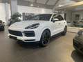 Porsche Cayenne Hd,AHK,Sport,Approved Weiß - thumbnail 7