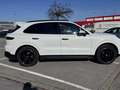 Porsche Cayenne Hd,AHK,Sport,Approved Weiß - thumbnail 17