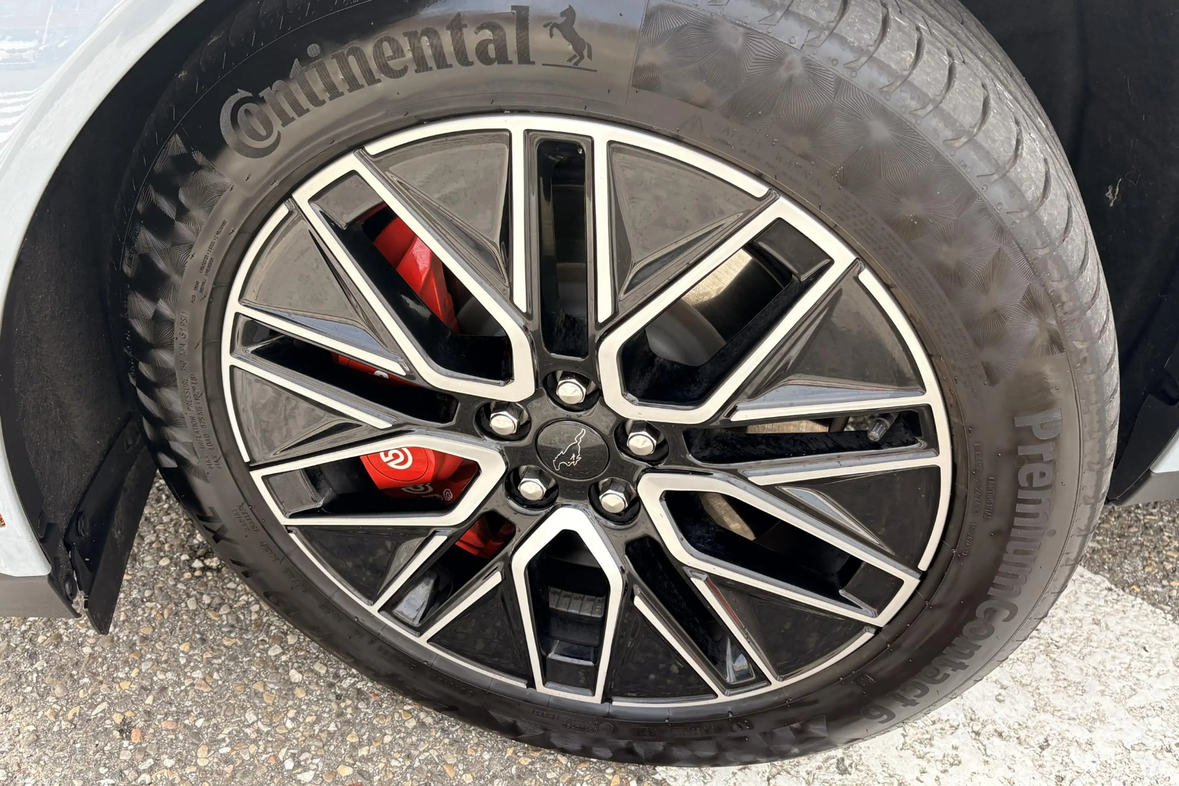 Ford Mustang Mach-E Extended Premium RWD 88 kWh — photo 5