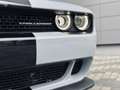 Dodge Challenger 6.4 V8 Scat Pack Widebody 485cv at8 IVA ESPOSTA Argento - thumbnail 4