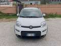 Fiat Panda Panda 1.0 FireFly S&S Hybrid City Life GARANZIA 1 Weiß - thumbnail 2