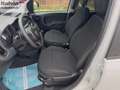 Fiat Panda Panda 1.0 FireFly S&S Hybrid City Life GARANZIA 1 Weiß - thumbnail 9