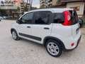 Fiat Panda Panda 1.0 FireFly S&S Hybrid City Life GARANZIA 1 Weiß - thumbnail 4