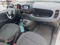 Fiat Panda Panda 1.0 FireFly S&S Hybrid City Life GARANZIA 1 Weiß - thumbnail 10