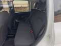 Fiat Panda Panda 1.0 FireFly S&S Hybrid City Life GARANZIA 1 Weiß - thumbnail 13