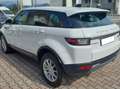 Land Rover Range Rover Evoque 5p 2.0 td4 Pure Business edition 150cv auto Bianco - thumbnail 4