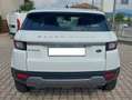 Land Rover Range Rover Evoque 5p 2.0 td4 Pure Business edition 150cv auto Bianco - thumbnail 5