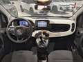 Fiat Panda 1.0 FireFly 70cv S&S Hybrid Pandina Noir - thumbnail 8
