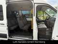 Ford Transit Kombi 350 L2 Trend 9Sitzer Klima Webasto Bianco - thumbnail 12