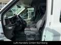 Ford Transit Kombi 350 L2 Trend 9Sitzer Klima Webasto Bianco - thumbnail 8