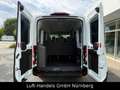 Ford Transit Kombi 350 L2 Trend 9Sitzer Klima Webasto Bianco - thumbnail 11