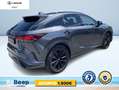 Lexus RX 350 500H 2.4 HYBRID TURBO F-SPORT+ 6AT Сірий - thumbnail 6