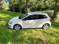 Volkswagen Polo 1.2 match Wit - thumbnail 4