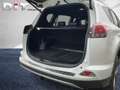 Toyota RAV 4 RAV4  2.5l Hybrid Edition-S Shz, Lhz, LED, Weiß - thumbnail 9
