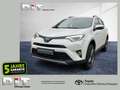 Toyota RAV 4 RAV4  2.5l Hybrid Edition-S Shz, Lhz, LED, Weiß - thumbnail 1