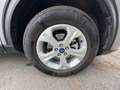 Ford Kuga 2.5 PHEV Titanium Aut.+Navi+Kamera+AHK Silber - thumbnail 17