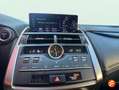 Lexus NX 300 300h Business 2WD Wit - thumbnail 11