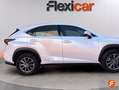 Lexus NX 300 300h Business 2WD Wit - thumbnail 9