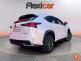 Lexus NX 300 300h Business 2WD Wit - thumbnail 8