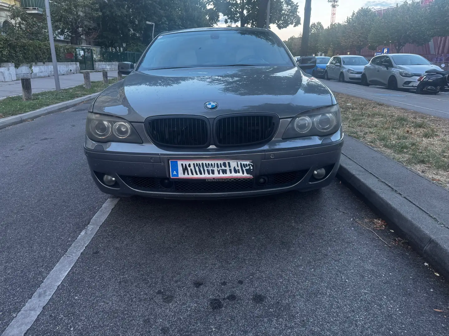 BMW 730 730d Grau - 2
