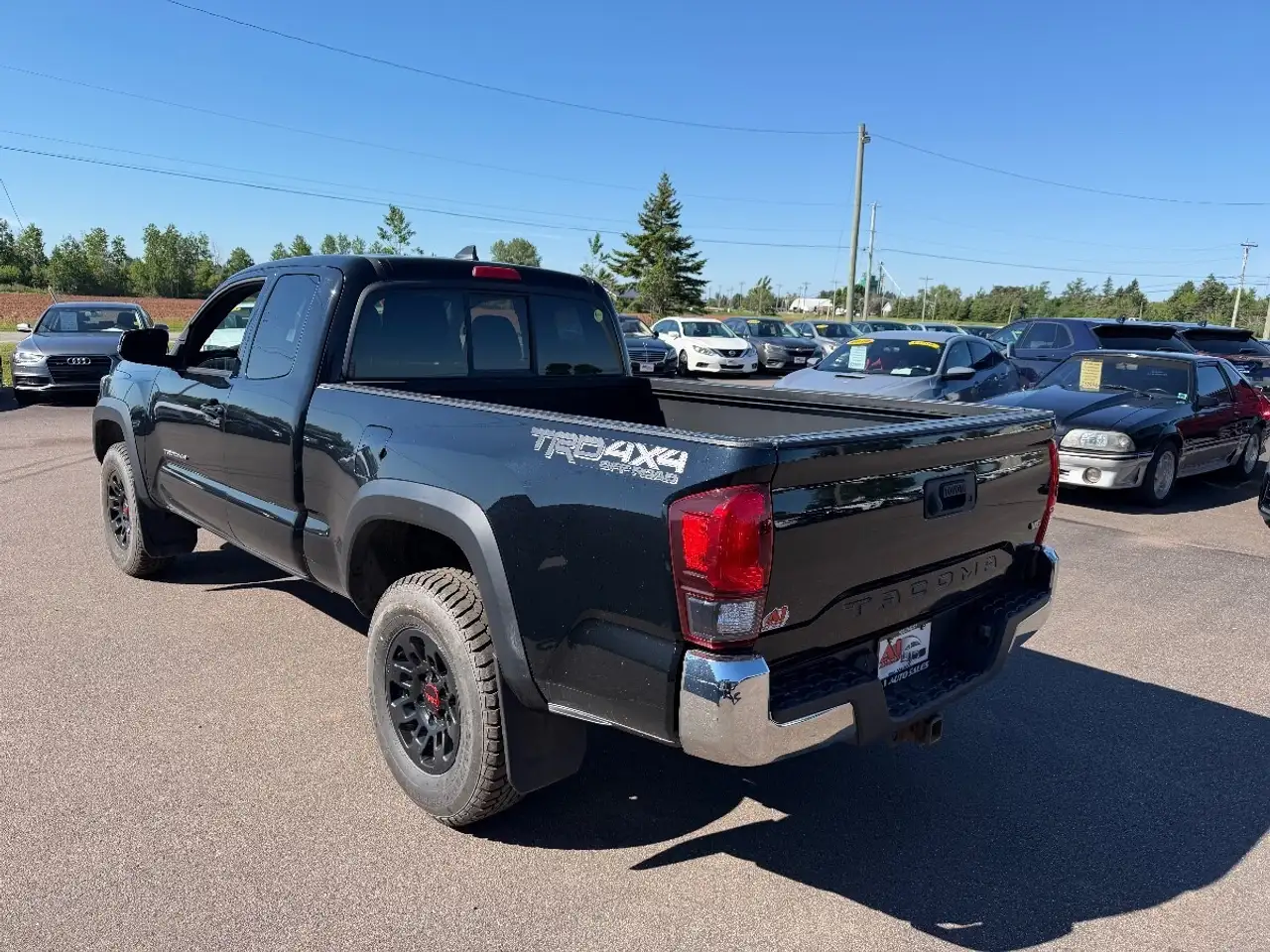 Toyota Tacoma fotografie Toyota Tacoma