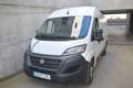 Fiat Ducato Fg. 35 2.3Mjt L4 H2 120CV Blanco - thumbnail 3