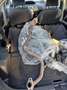 Toyota Yaris 1.0 5 porte MOTORE FUSO K.O Grigio - thumbnail 10