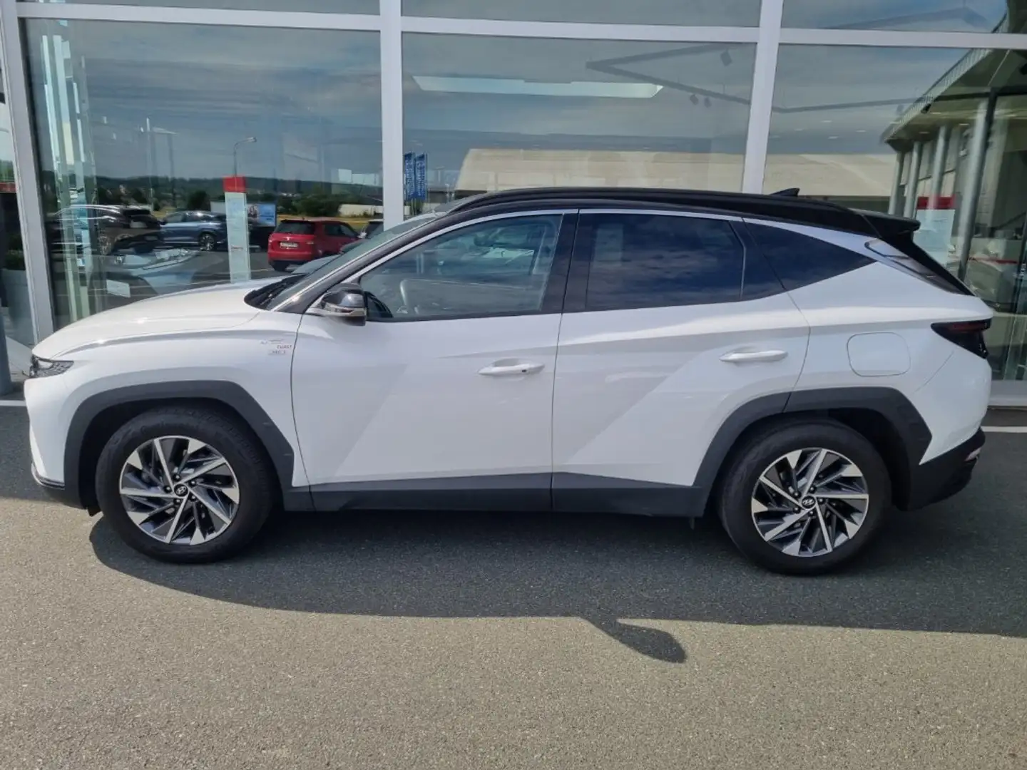 Hyundai TUCSON NX4 Trend Line 1,6 T-GDi 2WD 48V DCT t1bt1 Blanc - 2