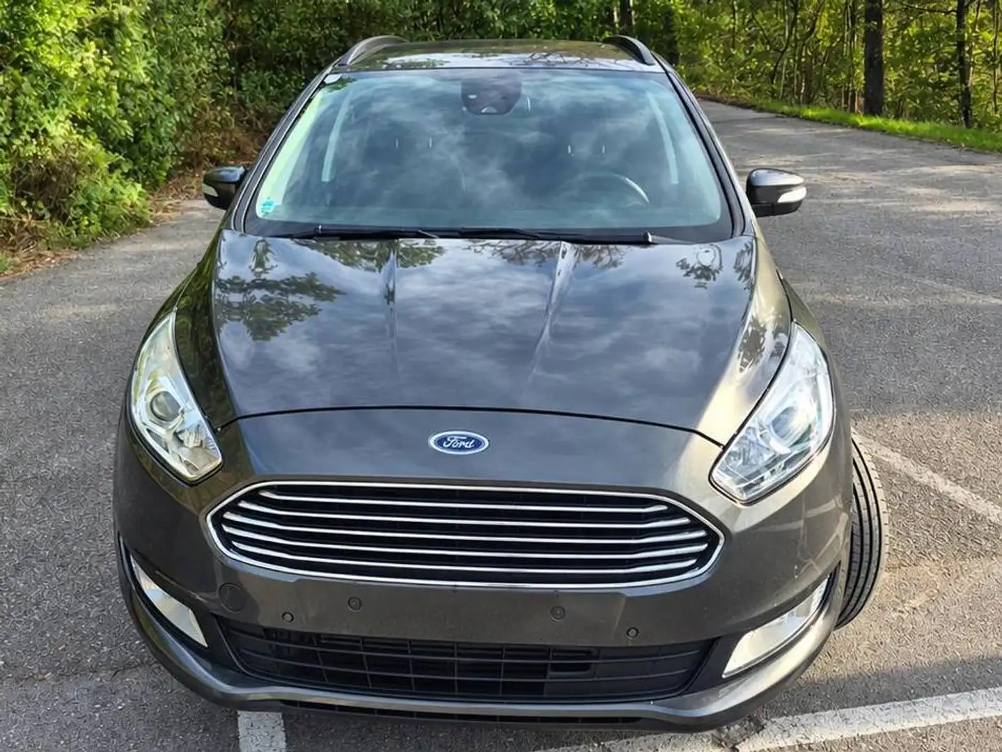 Ford Galaxy Galaxy 2,0 TDCi Business Start/Stop Business Grau - 1