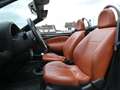 Ford Streetka 1.6 Elegance #KLIMA#LEDER#SHZ#TÜV NEU# Schwarz - thumbnail 16