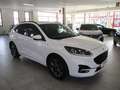 Ford Kuga Kuga 1.5 ecoblue ST-Line 2wd 120cv auto Bianco - thumbnail 2