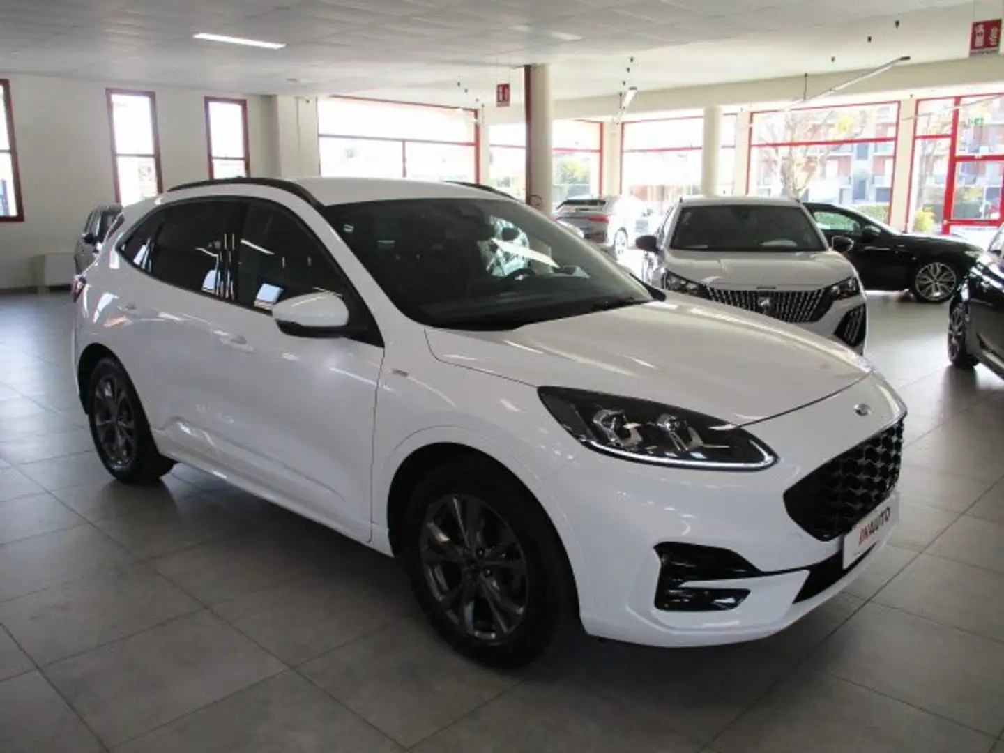 Ford Kuga Kuga 1.5 ecoblue ST-Line 2wd 120cv auto Bianco - 2