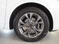 Ford Kuga Kuga 1.5 ecoblue ST-Line 2wd 120cv auto Bianco - thumbnail 5