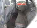 Ford Kuga Kuga 1.5 ecoblue ST-Line 2wd 120cv auto Bianco - thumbnail 8