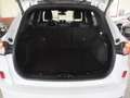 Ford Kuga Kuga 1.5 ecoblue ST-Line 2wd 120cv auto Bianco - thumbnail 22