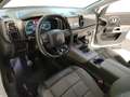 Citroen C5 Aircross - C5 Aircross PureTech 130 S&S Feel Blanc - thumbnail 11