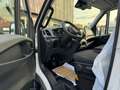 Iveco Daily 35c16 3.0 pianale 4,87 mt Alb - thumbnail 8