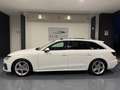 Audi A4 AVANT 40TDI QUATTRO S-LINE EDITION TETTO PANORAMIC Bianco - thumbnail 7