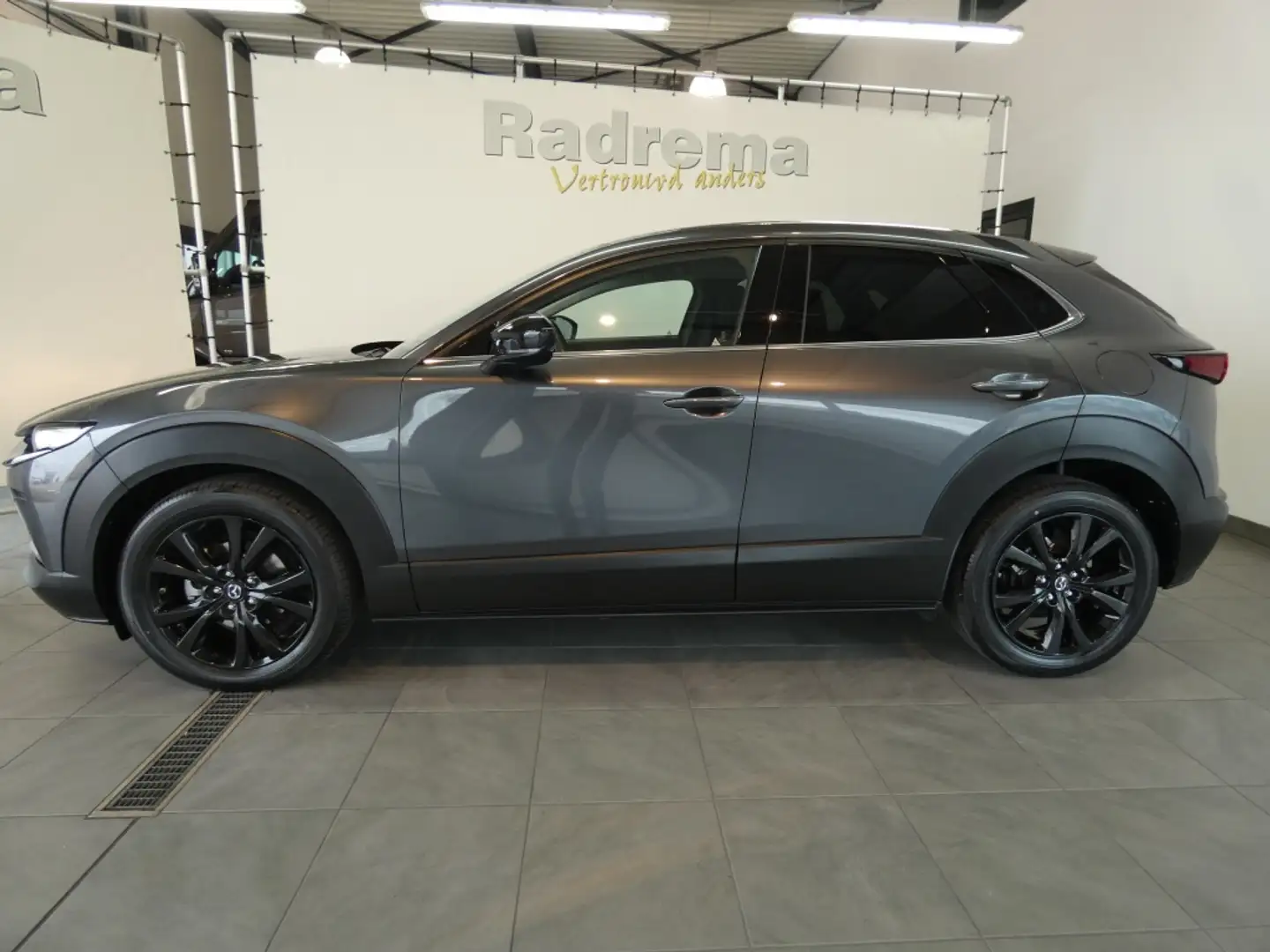 Mazda CX-30 2.0 eSA-G 150 M6 Homura Gris - 2
