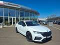 Skoda Octavia 1.4 TSI iV RS * TOP-ANGEBOT Weiß - thumbnail 3