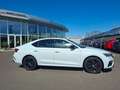 Skoda Octavia 1.4 TSI iV RS * TOP-ANGEBOT Weiß - thumbnail 11
