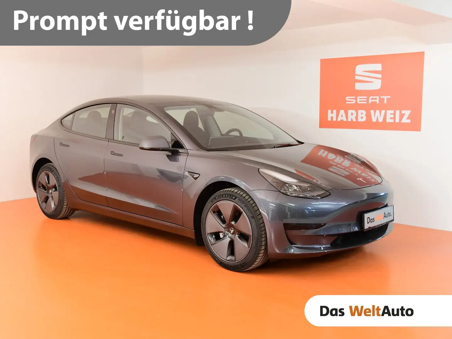 Tesla Model 3 Long Range 75kWh Silber - 1