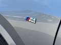 BMW X1 xDrive20d M Sportpaket Head-Up HK HiFi DAB Grau - thumbnail 13