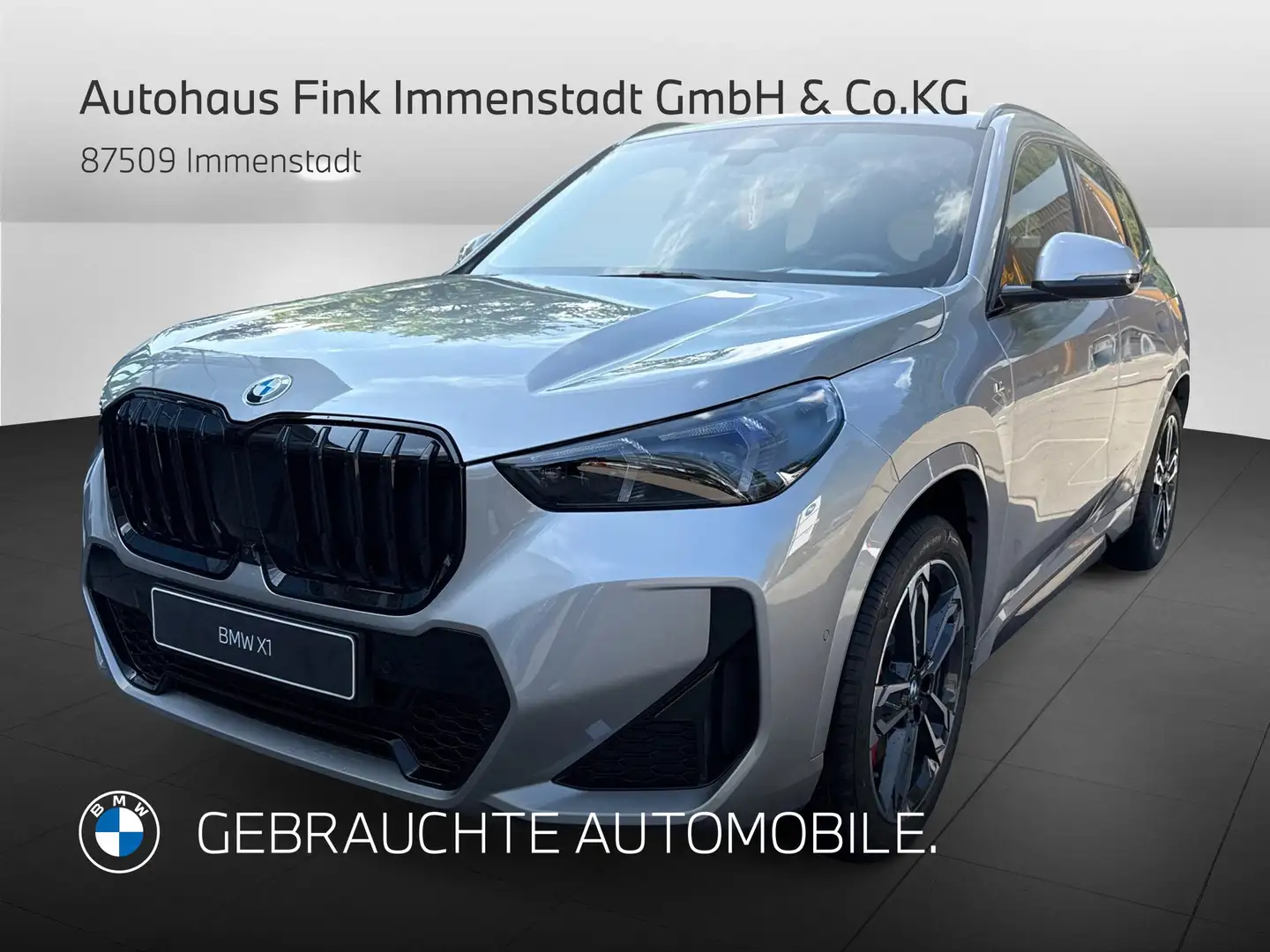 BMW X1 xDrive20d M Sportpaket Head-Up HK HiFi DAB Gris - 1