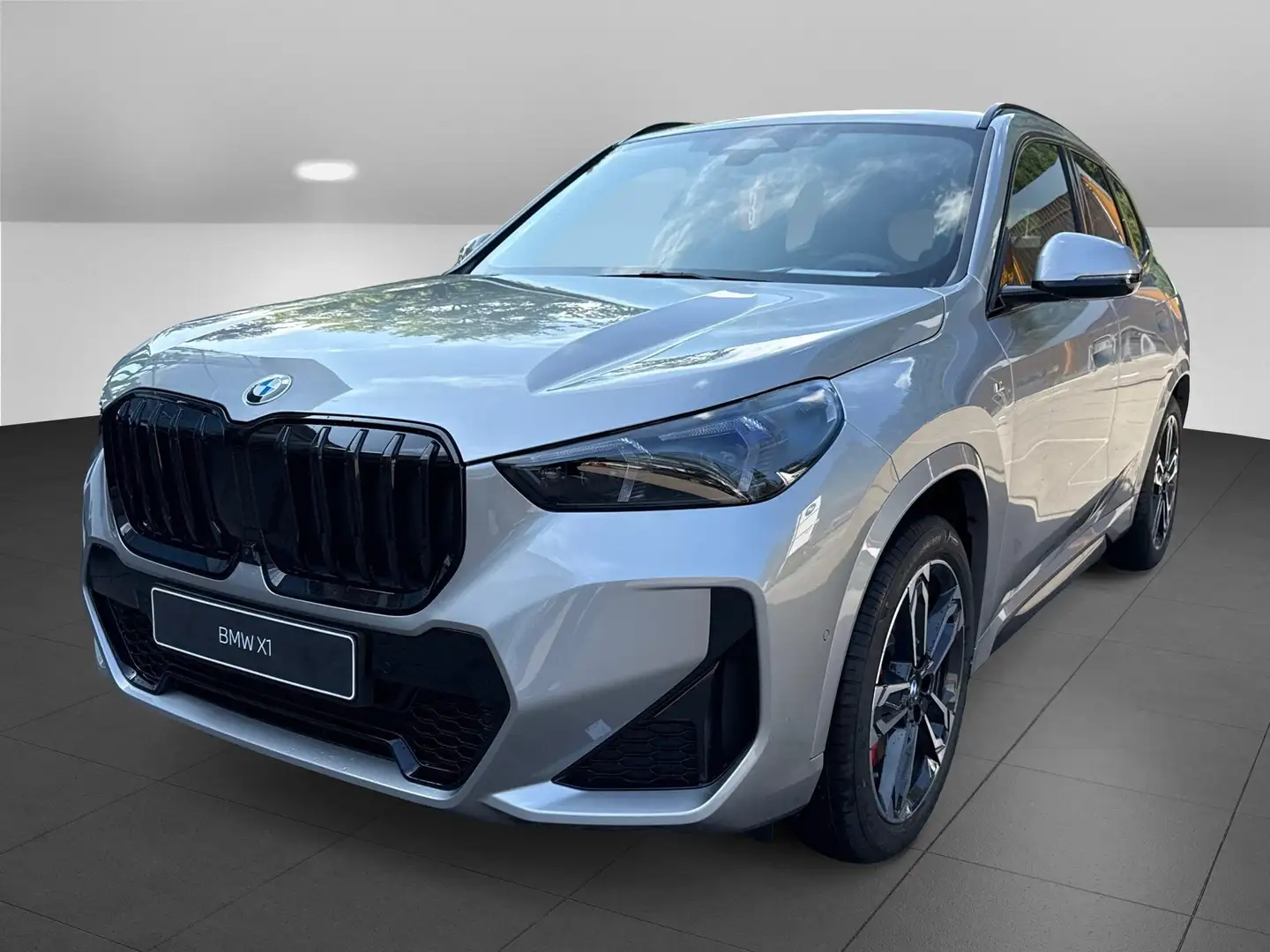 BMW X1 xDrive20d M Sportpaket Head-Up HK HiFi DAB Gris - 1